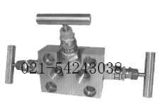 一体化三阀组（内螺纹）1151.3051.EJA