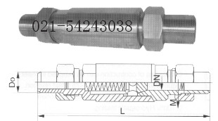 H21X型外螺纹止回阀